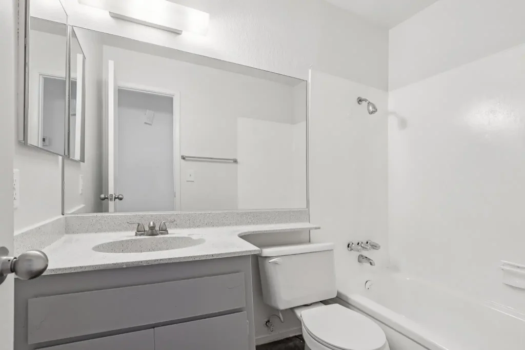 Ashford Manor Updated Bathroom